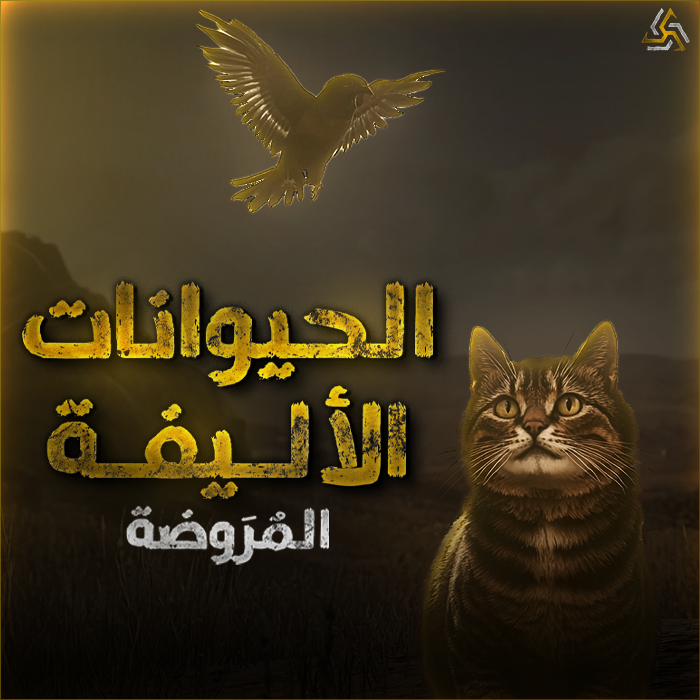 الحيوانات الأليفة المروضة ارنب، قط، ببغاء